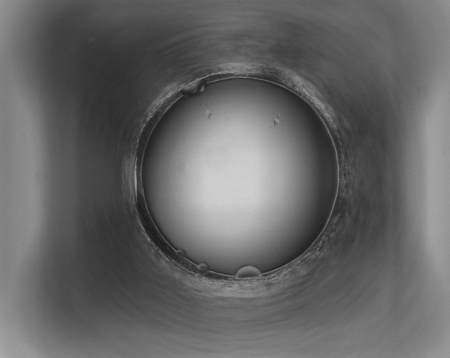 X0000113630011200909181526