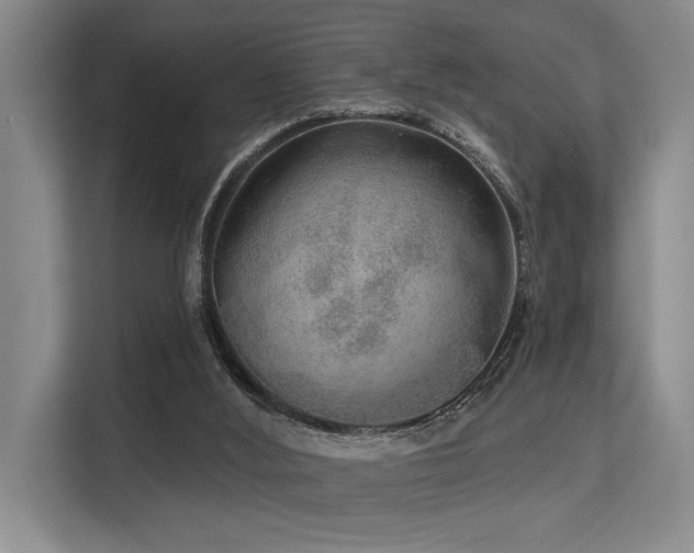 X0000113630012200909181526