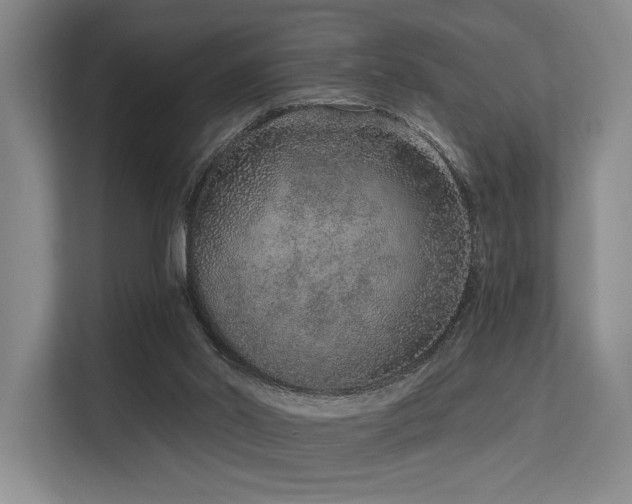 X0000113630014200909181526