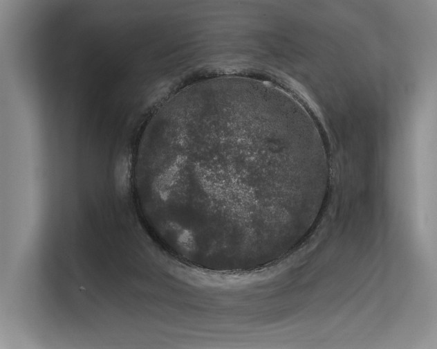 X0000113630018200909181526