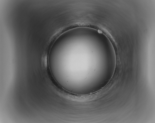 X0000113630019200909181525