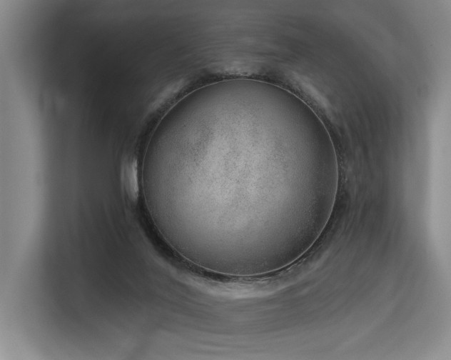X0000113630020200909181525