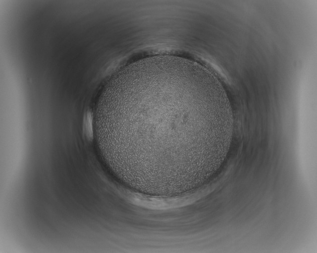 X0000113630022200909181525