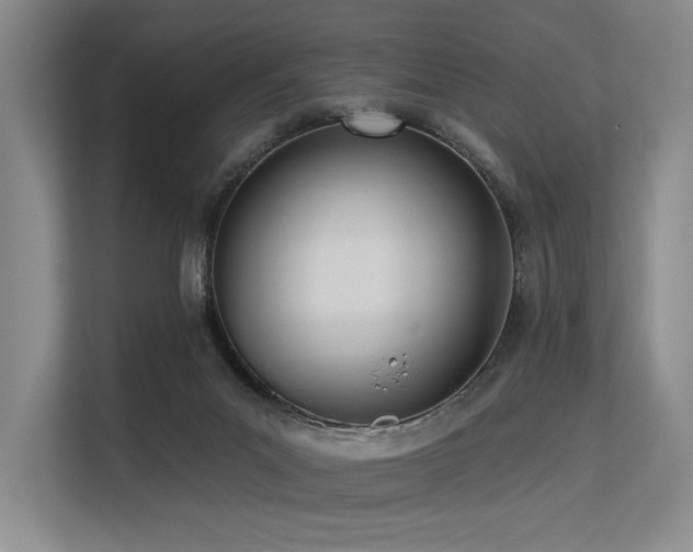 X0000113630023200909181525