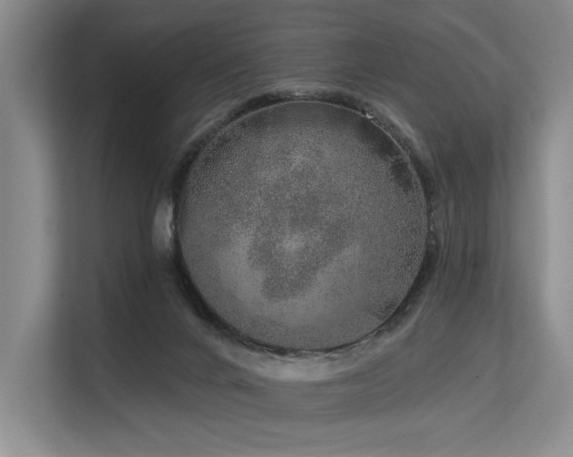 X0000113630024200909181525