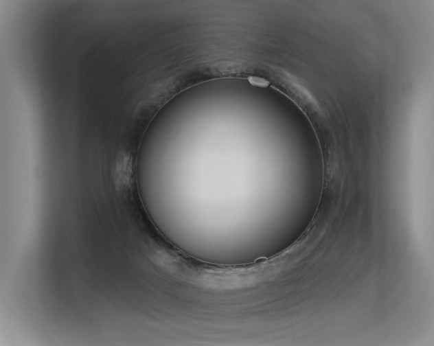 X0000113630025200909181525