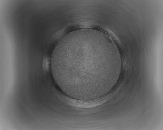 X0000113630026200909181525