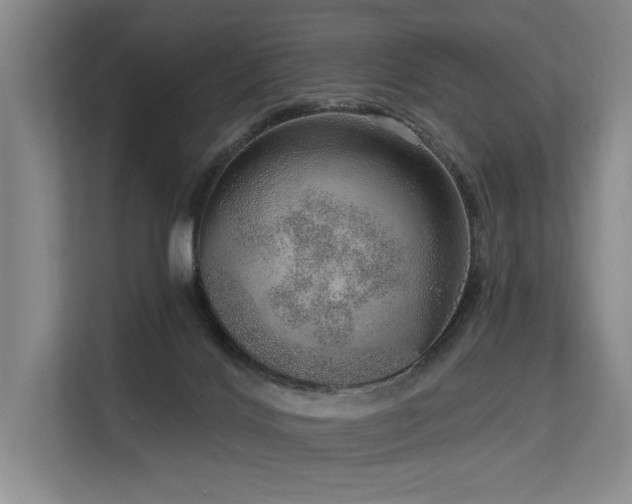 X0000113630028200909181525