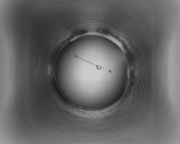 X0000113630031200909181525