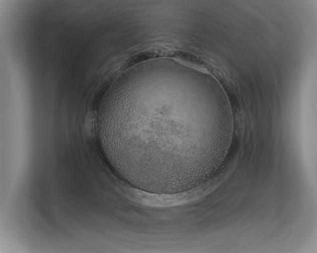 X0000113630034200909181525
