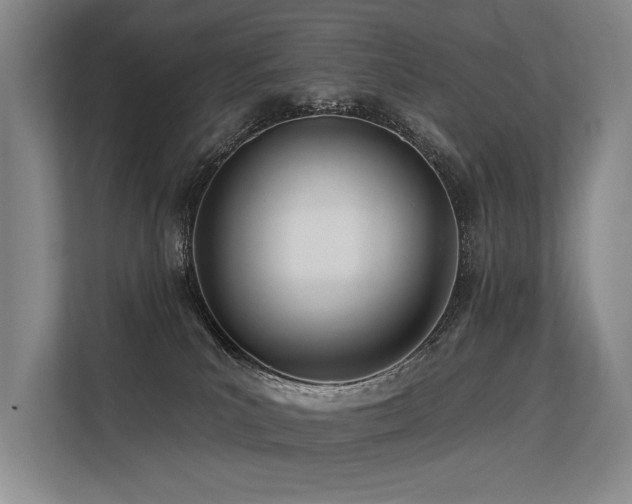 X0000113630039200909181525