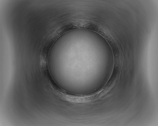 X0000113630040200909181525