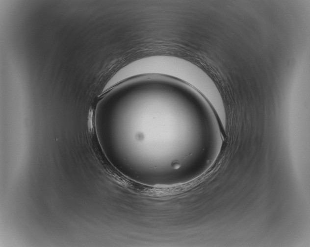 X0000113630041200909181525