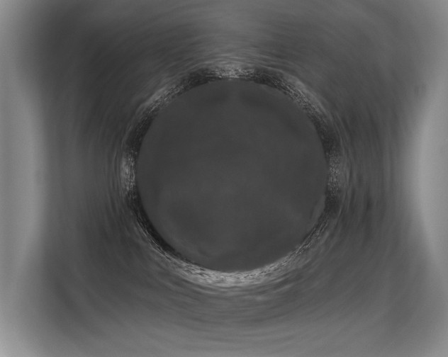 X0000113630043200909181525