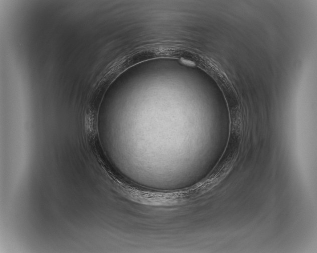 X0000113630044200909181525