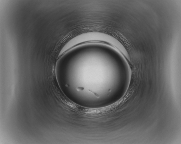 X0000113630045200909181525