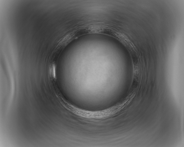 X0000113630046200909181525