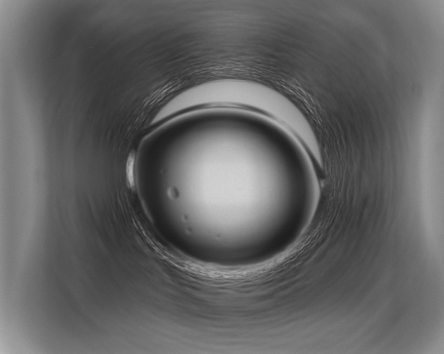 X0000113630047200909181525