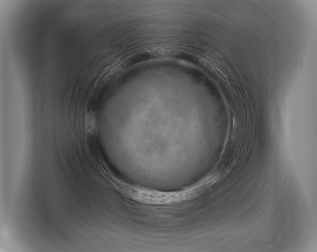 X0000113630048200909181525