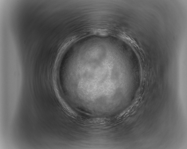 X0000113630049200909181524