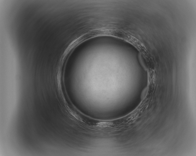 X0000113630051200909181525
