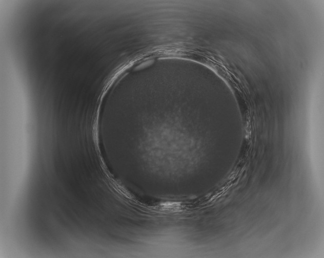 X0000113630052200909181525