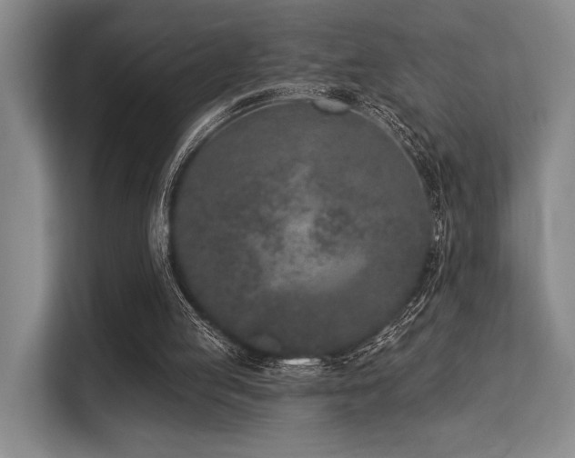 X0000113630053200909181525