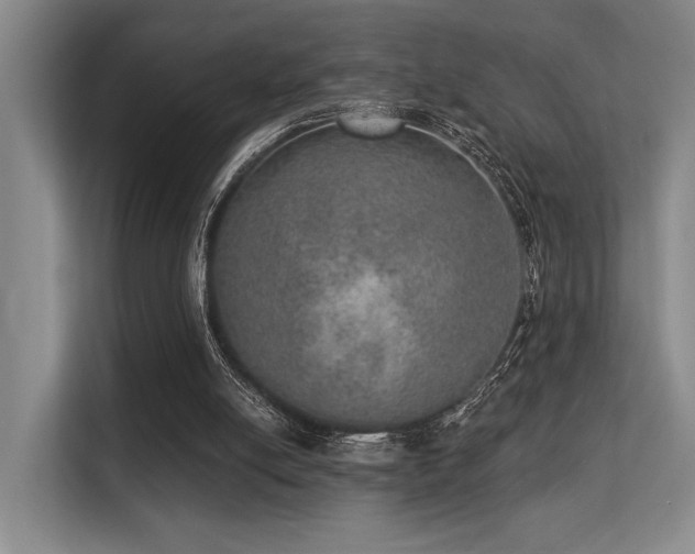X0000113630054200909181525