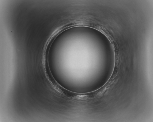 X0000113630055200909181525