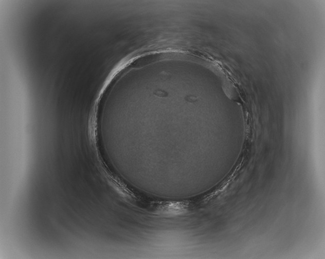 X0000113630056200909181525