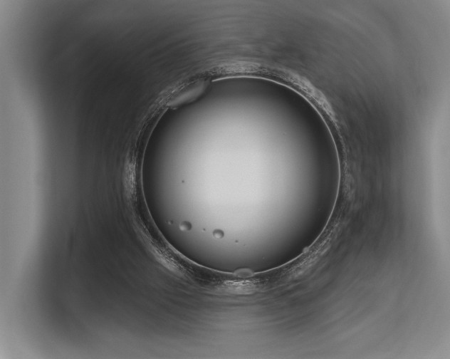 X0000113630057200909181525