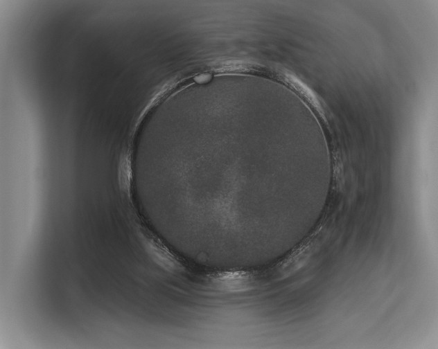 X0000113630059200909181525