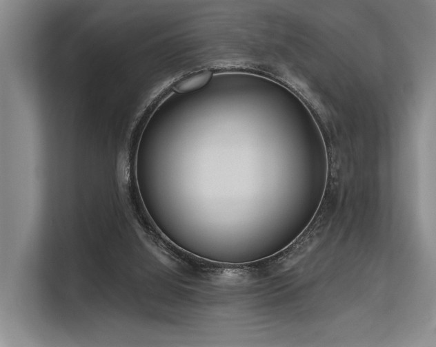 X0000113630060200909181525