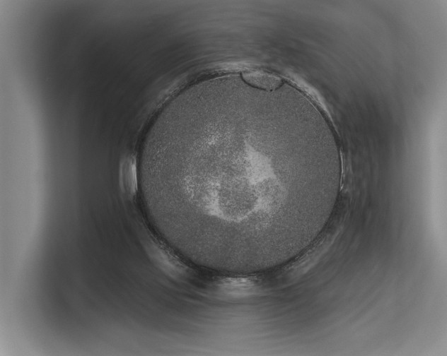 X0000113630061200909181525