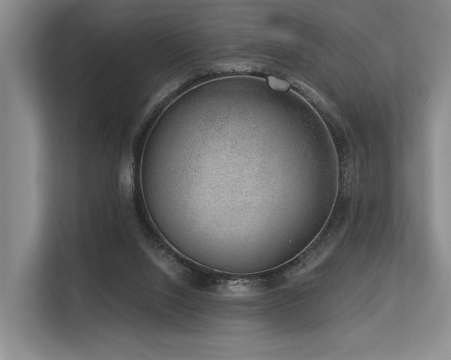X0000113630064200909181525
