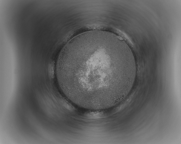 X0000113630065200909181525