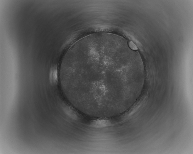 X0000113630067200909181525