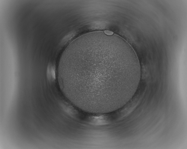 X0000113630068200909181525