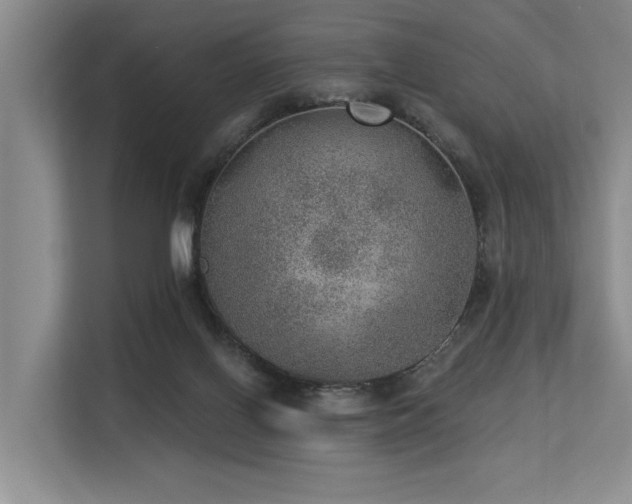 X0000113630070200909181525