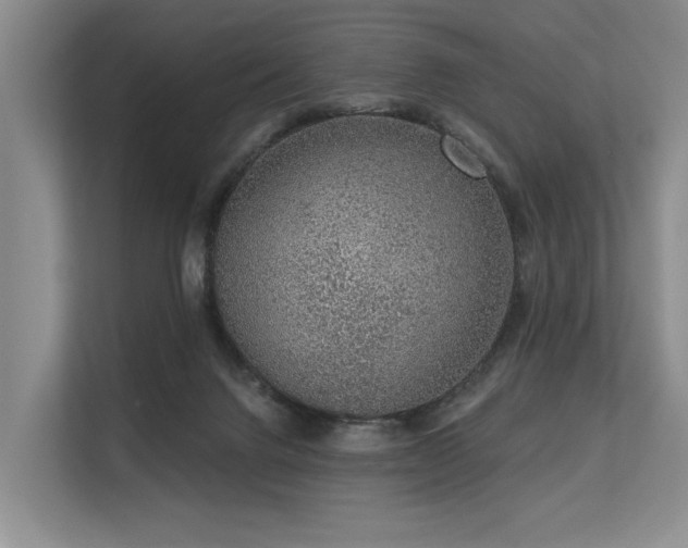 X0000113630072200909181525