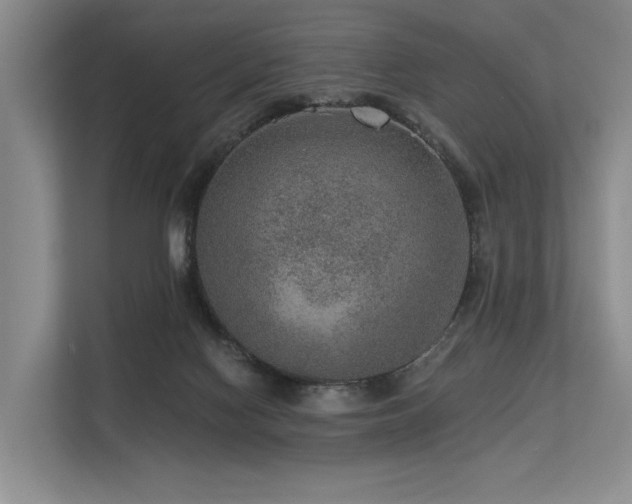 X0000113630074200909181525