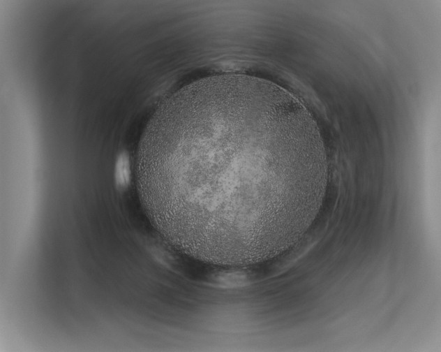 X0000113630075200909181525