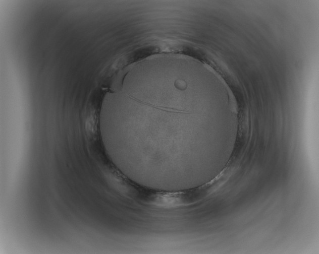 X0000113630078200909181525