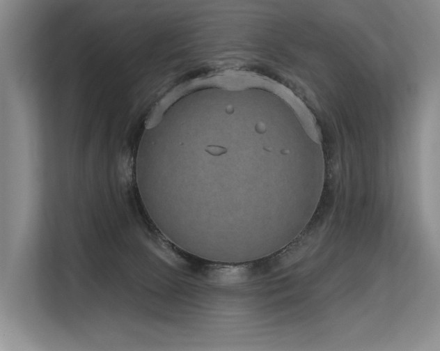 X0000113630081200909181525