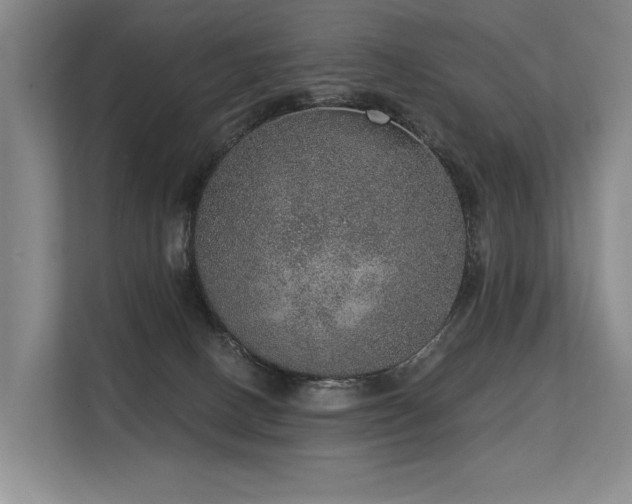 X0000113630082200909181525