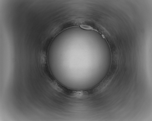 X0000113630083200909181525