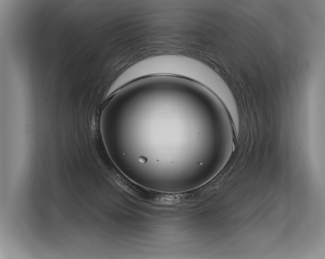 X0000113630084200909181525