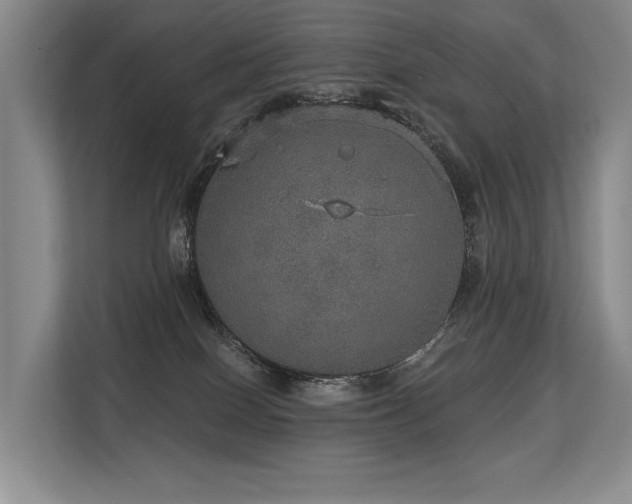 X0000113630086200909181525