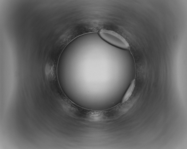 X0000113630088200909181525