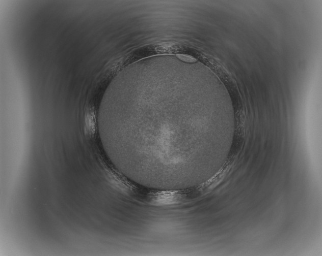 X0000113630090200909181525